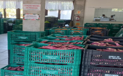 Programa de aquisição de alimentos de Itajaí dobrou doações de cestas verdes em 2024