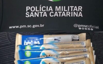 Polícia Militar prende homem em flagrante por furto em comércio de Itajaí