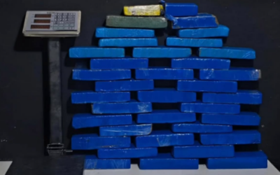 Operação conjunta desarticula rede de tráfico em Barra Velha e apreende mais de 26 kg de maconha