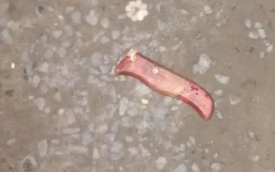 Tragédia em Itajaí: Homem é encontrado morto com múltiplas facadas no Brejo em Cordeiros