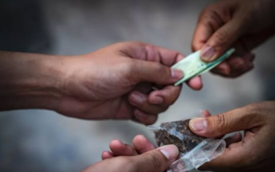 Polícia Militar realiza operação contra o tráfico de drogas em Itajaí