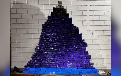 Blumenau: PM apreende mais de 200 kg de maconha em residência no bairro Fortaleza Alta