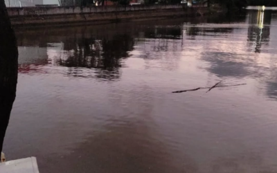 Tragédia em Itajaí: Homem se afoga no canal do Rio Itajaí Mirim após mergulho sob efeito de álcool