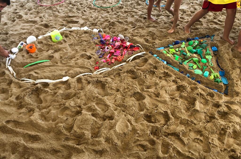 IMP abre credenciamento para prestação de serviços de desenvolvimento e execução de atividades de educação ambiental em Balneário Piçarras