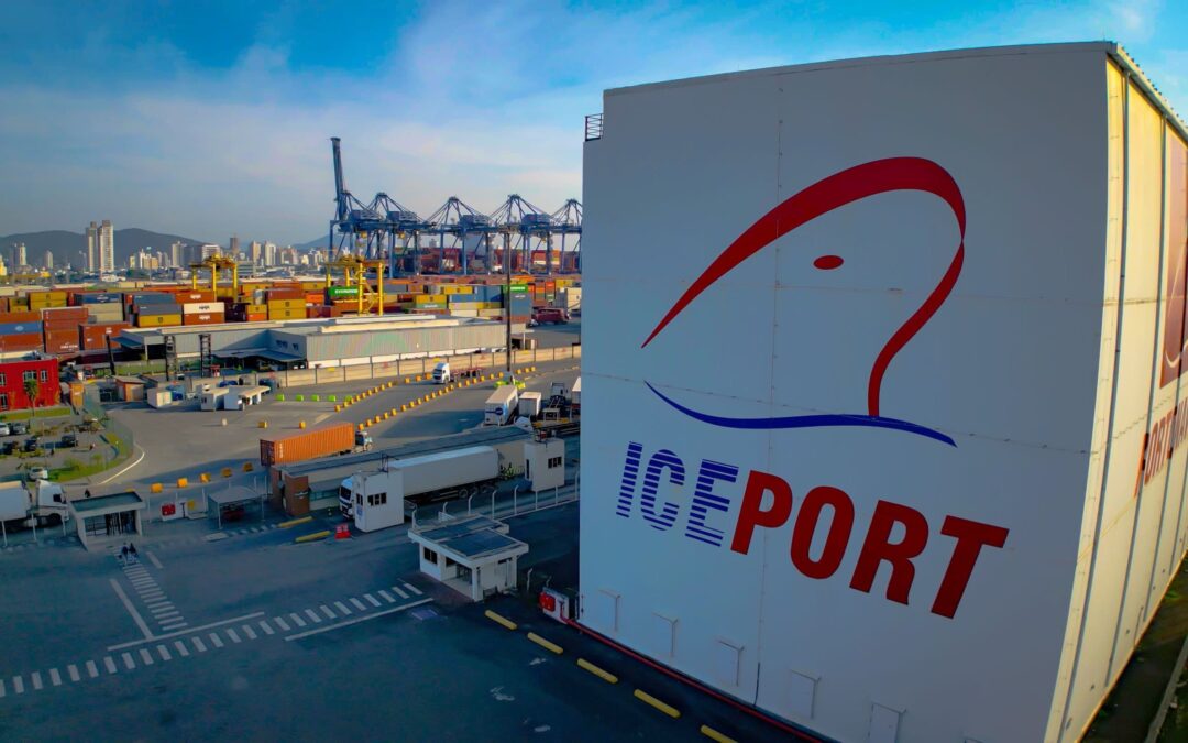 Portonave é o terminal portuário mais eficiente do país em 2024, segundo a ANTAQ