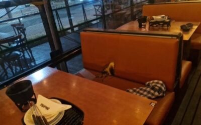 Explosão de fondue em SC: Mulher com 70% do corpo queimado é transferida para hospital especializado em Lages