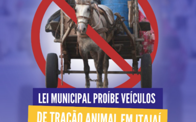 Lei Municipal proíbe veículos de tração animal em Itajaí