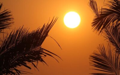 Santa Catarina enfrenta sensação térmica de até 57°C; veja as cidades mais quentes