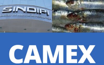 CONFIRMADO: Governo isentou a importação da sardinha; a ordem já vale a partir desta sexta-feira (14), rendendo ambos os municípios a importar as sardinhas à 0% de impostos