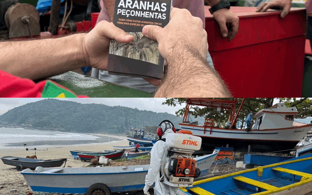 Saúde de Penha realiza mutirão para conter aranhas e casos de dengue