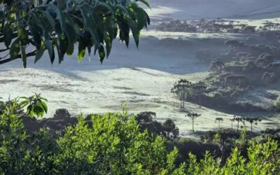 O frio gostoso está chegando: SC se prepara para geadas e temperaturas abaixo de 10°C