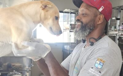 Navegantes avança em parcerias para fortalecer políticas públicas de bem-estar animal