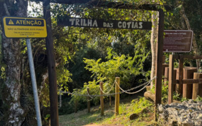Trilha da Cotia é reaberta após revitalização em Itajaí