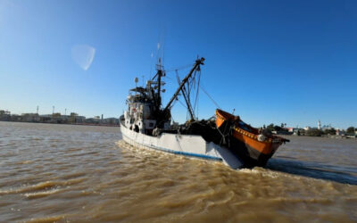 Itajaí reforça liderança na pesca nacional e movimenta milhões na economia catarinense; em celebração ao Dia do Pescador, entenda como esses profissionais impactam a capital da pesca e a América Latina