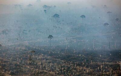 ALERTA VERMELHO NA AMAZÔNIA: Desmatamento dispara 92% em maio e grilagem avança sobre florestas públicas