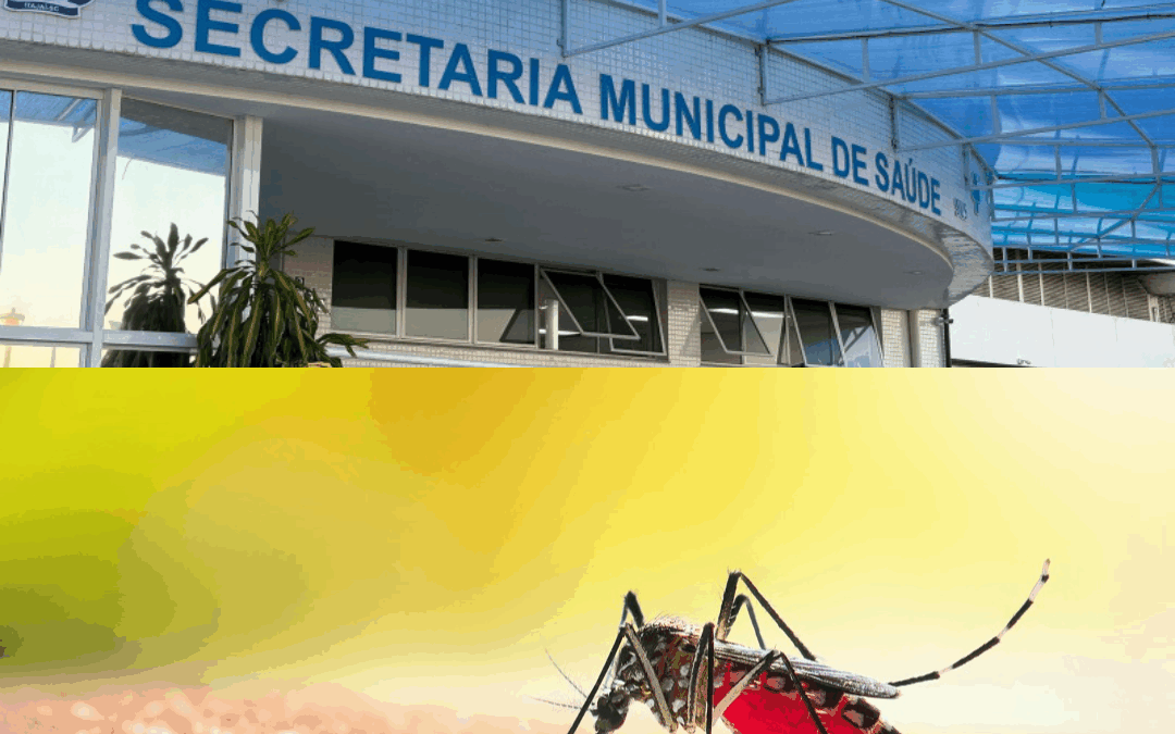 Dengue faz quarta vítima em Itajaí em 2025; casos recuam em junho, mas alerta permanece