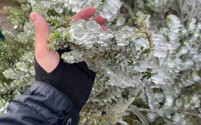 Inverno começa com chuva, frio e alerta para temporais em Santa Catarina