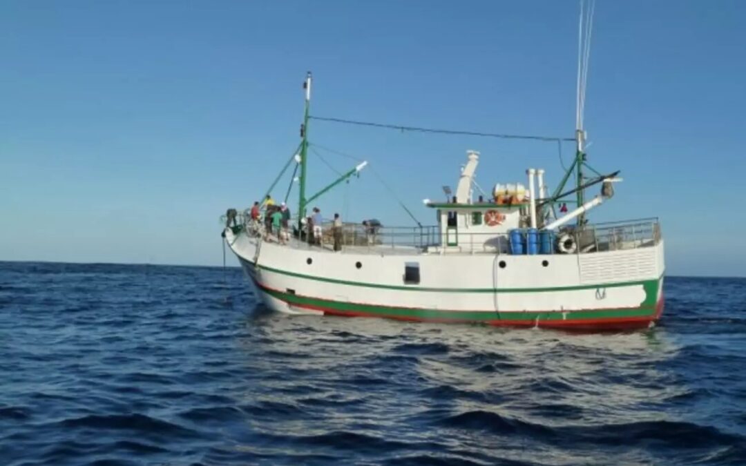 Santa Catarina domina safra da tainha com 80% das embarcações industriais do país