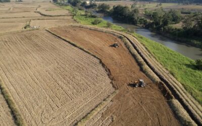 DO CAMPO À CIDADE! Agricultura impulsiona economia e tradição em Itajaí