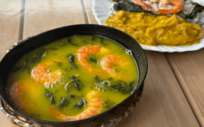 Porte e Nordeste conquistam paladar e corações em Itajaí