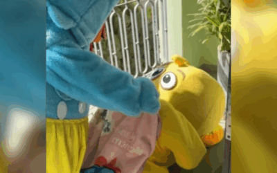 Galinha Pintadinha debocha de mamãe que transformou sacada em quarto na cidade de Blumenau