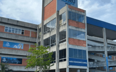 Conferência Municipal de Políticas para Mulheres será nesta terça-feira (22), em Balneário Piçarras