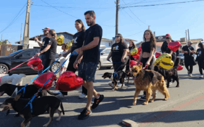 Cãominhada reúne cerca de 100 tutores e pets em Navegantes