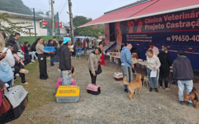Saúde realiza mutirão de 150 castrações no bairro Morretes, em Balneário Piçarras
