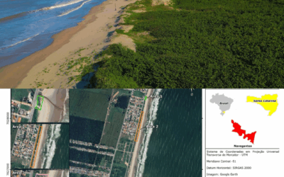 Navegantes inicia grande projeto de recuperação da restinga com 6,5 mil mudas nativas