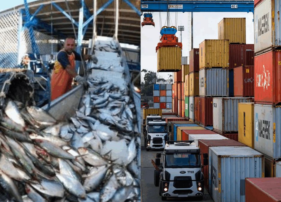 Tarifa dos EUA ameaça setor pesqueiro de SC e pode causar prejuízo de R$ 13 milhões