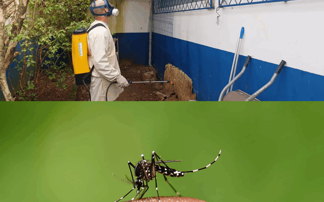 Itajaí segue com programa de controle contra a dengue; ações de prevenção e bloqueio da doença são prioridades no município