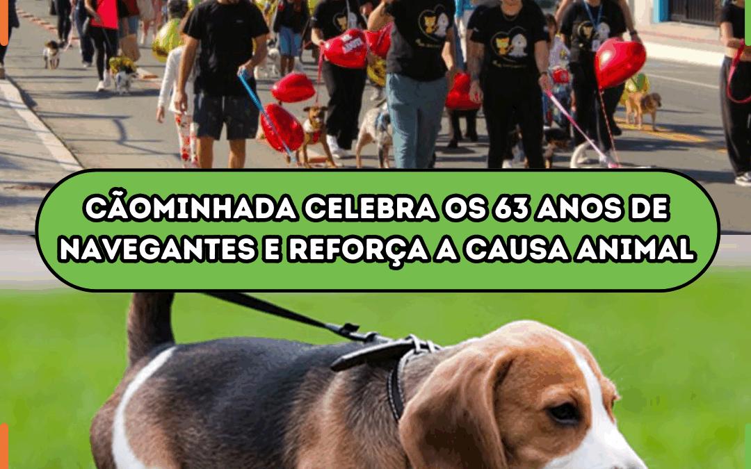 Cãominhada celebra os 63 anos de Navegantes e reforça a causa animal