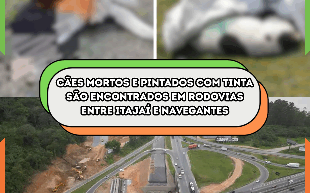 Cães mortos e pintados com tinta são encontrados em rodovias entre Itajaí e Navegantes