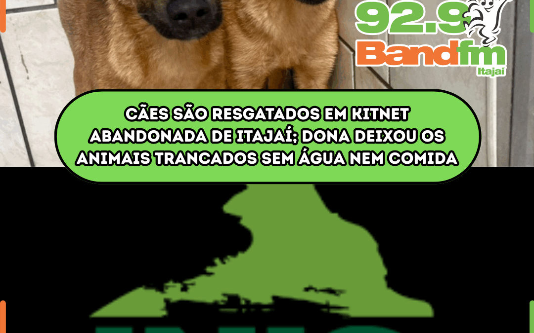 Cães são resgatados em kitnet abandonada em Itajaí; dona deixou os animais trancados sem água nem comida
