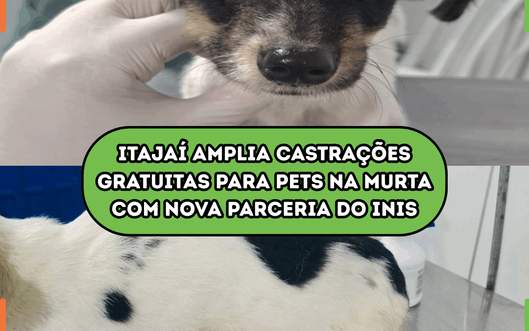 Itajaí amplia castrações gratuitas para pets na Murta com nova parceria do INIS