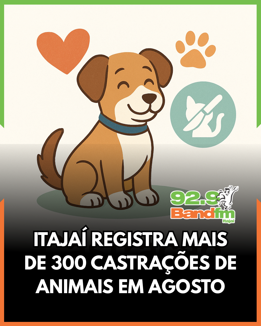 Itajaí registra mais de 300 castrações de animais em agosto
