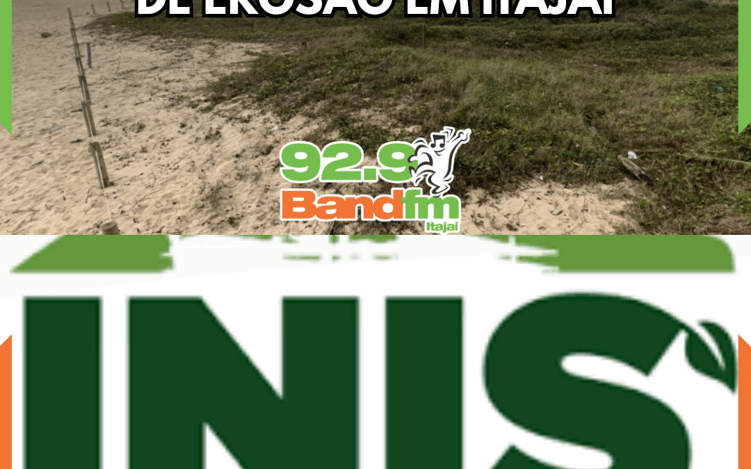 Praia Brava tem restinga recuperada após anos de erosão em Itajaí