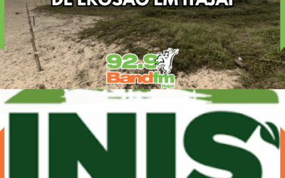 Praia Brava tem restinga recuperada após anos de erosão em Itajaí