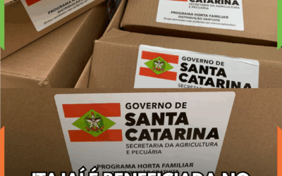 Itajaí é beneficiada no programa ‘Horta Familiar’