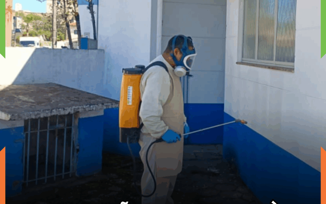 Operação de combate à dengue resulta na redução de casos em Itajaí