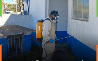 Operação de combate à dengue resulta na redução de casos em Itajaí