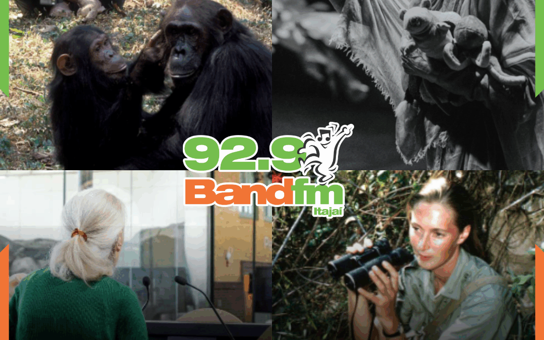 Morre Jane Goodall, a voz dos chimpanzés e defensora da vida animal, aos 91 anos