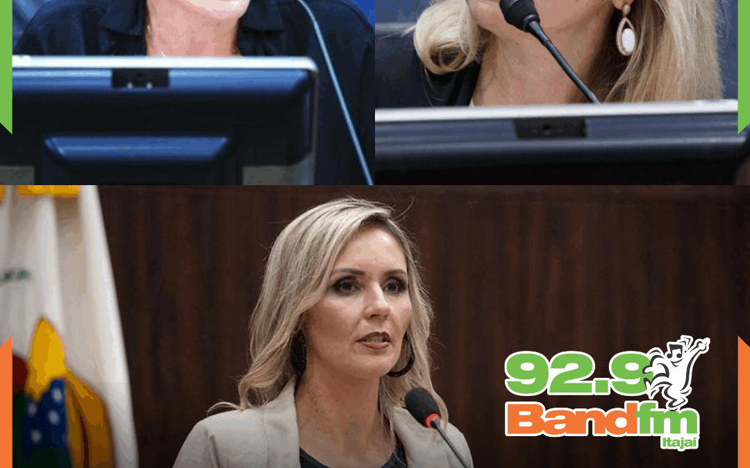 Justiça condena autor de ataques machistas contra ex-vereadoras em Itajaí