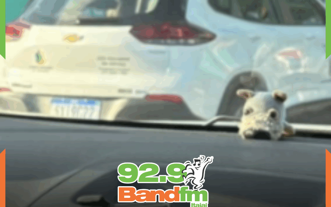 CAMBORIÚ PODE TUDO: Presidente usa carro oficial da câmara para ir na Fenarreco em Brusque