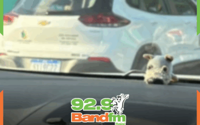 CAMBORIÚ PODE TUDO: Presidente usa carro oficial da câmara para ir na Fenarreco em Brusque