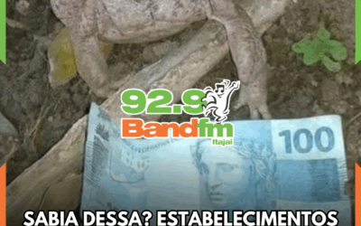 Estabelecimentos não poderão mais receber dinheiro vivo de sapos no Piauí por causa de sonegação fiscal (contém ironia)