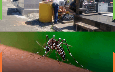 Vigilância Epidemiológica reforça combate à dengue nos cemitérios municipais de Itajaí