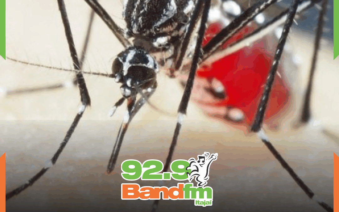 Dia D de combate a dengue ocorre neste sábado (08) em alusão ao Dia Nacional de Combate a Doença