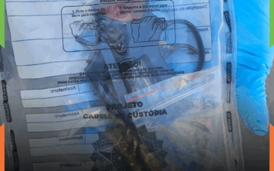 Operação atualizada: PM confirma feminicídio seguido de suicídio em caso ocorrido no Portal II, em Itajaí