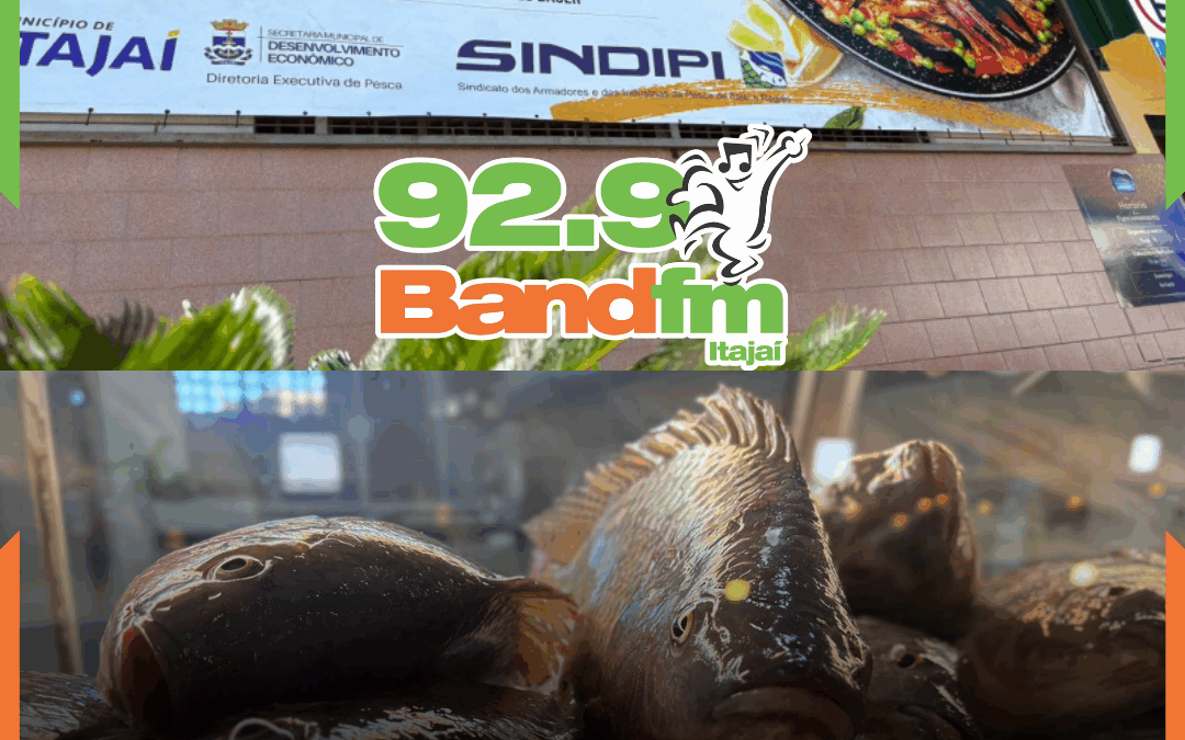 É BLACK FRIDAY NO MERCADO DO PEIXE DE ITAJAÍ: Preços promocionais entre 25 e 29 de novembro